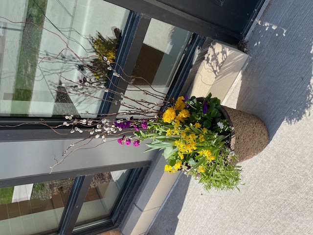 Outside Front of Building Flowers